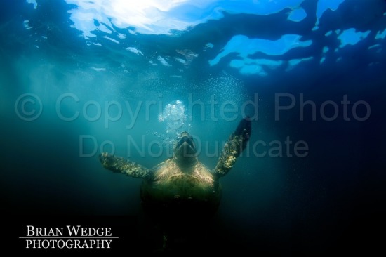 National Geographic Baja Mexico